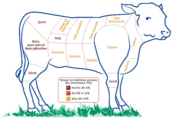 Le veau est plus tendre que le boeuf