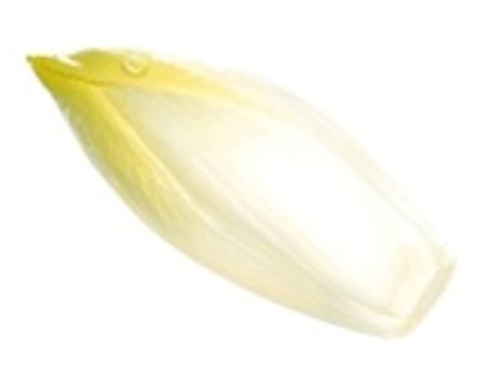 L'ENDIVE L'ENDIVE