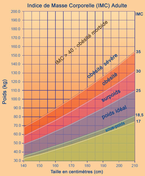 Tableau d'estimation du poids de forme chez l'adulte