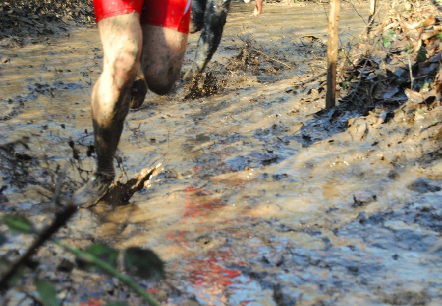 PREPARATION NUTRITIONNELLE CROSS