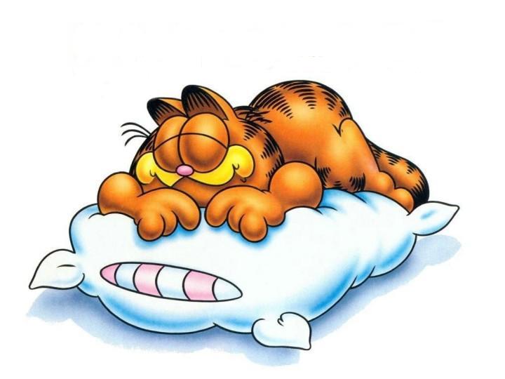 ALIMENTATION ET SOMMEIL ALIMENTATION ET SOMMEIL