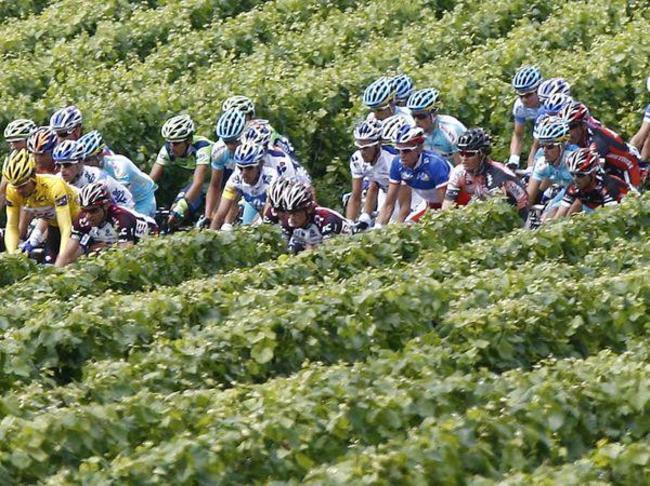 Tour de France et Route des Vins...Tout se comprend!