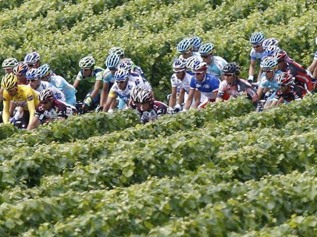 Tour de France et Route des Vins...Tout se comprend! Tour de France et Route des Vins...Tout se comprend!