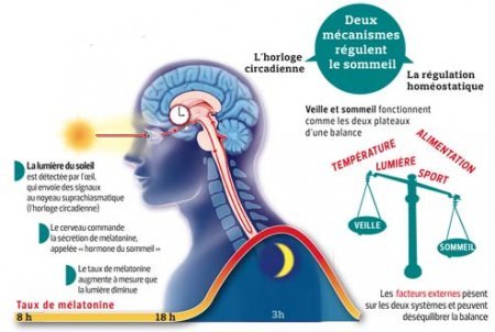 SPORT ET HORAIRES DÉCALÉS : ENTRAINEMENT & ALIMENTATION SPORT ET HORAIRES DÉCALÉS : ENTRAINEMENT & ALIMENTATION