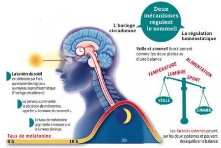 SPORT ET HORAIRES DÉCALÉS : ENTRAINEMENT & ALIMENTATION