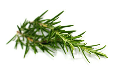 TROP TARD : LA GUEULE DE BOIS EST ARRIVEE TROP TARD : LA GUEULE DE BOIS EST ARRIVEE