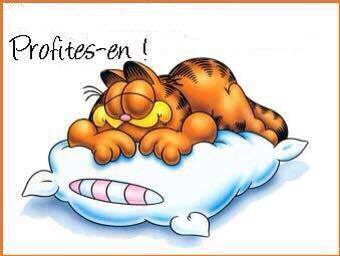 La sieste est permise et même conseillée chez le sportif et tout particulièrement durant le Ramadan La sieste est permise et même conseillée chez le sportif et tout particulièrement durant le Ramadan