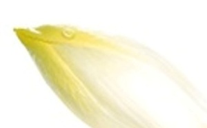 L'ENDIVE
