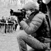 DSC_0442