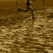 20140126_153924(0)
