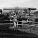 20140209_161935