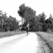 2014-05-25 10.02.45